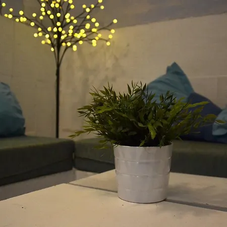 The Lights Garden Hostel Malaga